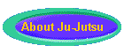 About Ju-Jutsu